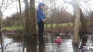 Tilfældigt billede fra Marts 2014