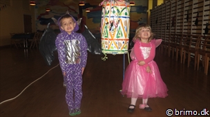 Miniature af billede nummer 2919