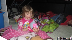 Miniature af billede nummer 2921