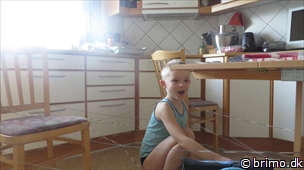 Miniature af billede nummer 2932