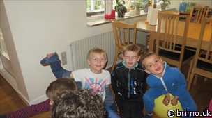 Miniature af billede nummer 2939