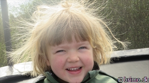 Miniature af billede nummer 2945