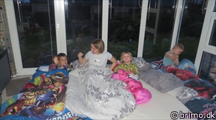 Miniature af billede nummer 2947