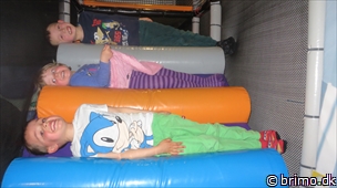 Miniature af billede nummer 2951