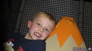 Miniature af billede nummer 2952