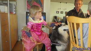 Miniature af billede nummer 2953