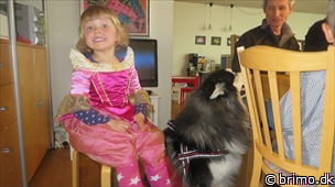 Miniature af billede nummer 2954