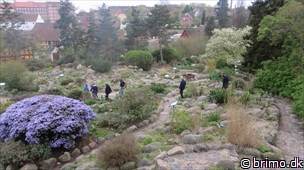 Miniature af billede nummer 2955