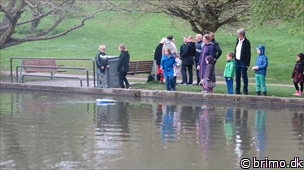 Miniature af billede nummer 2956