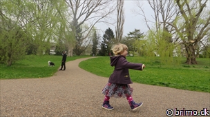 Miniature af billede nummer 2957