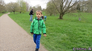 Miniature af billede nummer 2958