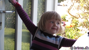 Miniature af billede nummer 2966