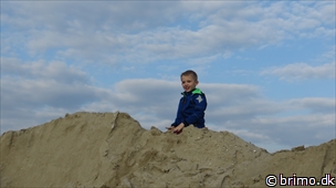 Miniature af billede nummer 2967