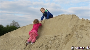 Miniature af billede nummer 2968