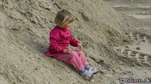 Miniature af billede nummer 2971