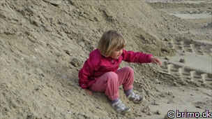 Miniature af billede nummer 2972