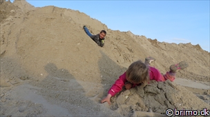 Miniature af billede nummer 2979