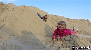 Miniature af billede nummer 2980