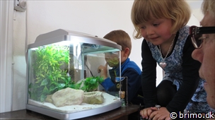 Tilfældigt billede fra Maj 2014