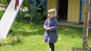 Miniature af billede nummer 2987