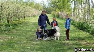 Miniature af billede nummer 2988