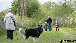 Miniature af billede nummer 2989