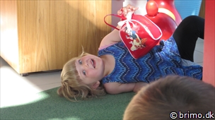 Miniature af billede nummer 2992