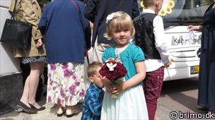 Miniature af billede nummer 2993