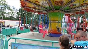 Miniature af billede nummer 3000