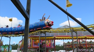 Miniature af billede nummer 3004