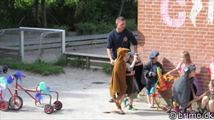 Miniature af billede nummer 3020