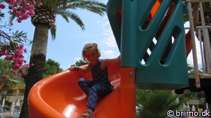 Miniature af billede nummer 3030