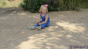 Miniature af billede nummer 3032