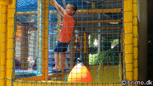 Miniature af billede nummer 3033