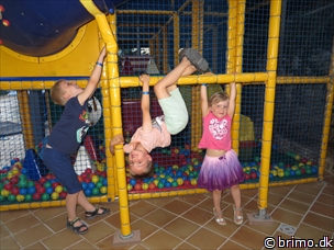 Miniature af billede nummer 3042