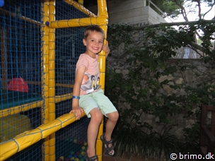 Miniature af billede nummer 3043