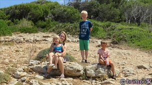 Miniature af billede nummer 3045