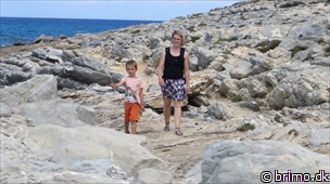 Miniature af billede nummer 3046