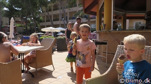 Miniature af billede nummer 3047