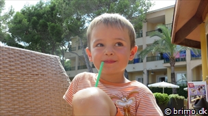 Miniature af billede nummer 3048