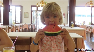 Miniature af billede nummer 3053