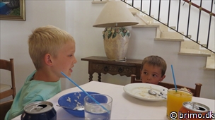 Miniature af billede nummer 3054