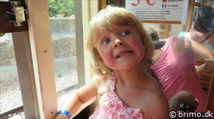 Miniature af billede nummer 3058