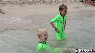 Miniature af billede nummer 3061