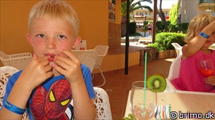 Miniature af billede nummer 3063