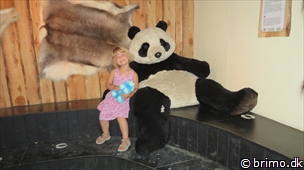 Miniature af billede nummer 3066