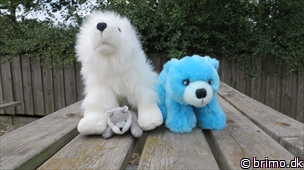 Miniature af billede nummer 3068