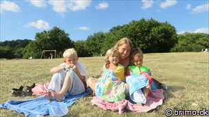 Miniature af billede nummer 3072