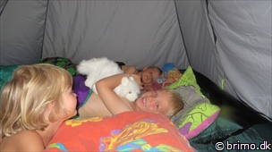 Miniature af billede nummer 3073