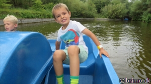 Miniature af billede nummer 3076